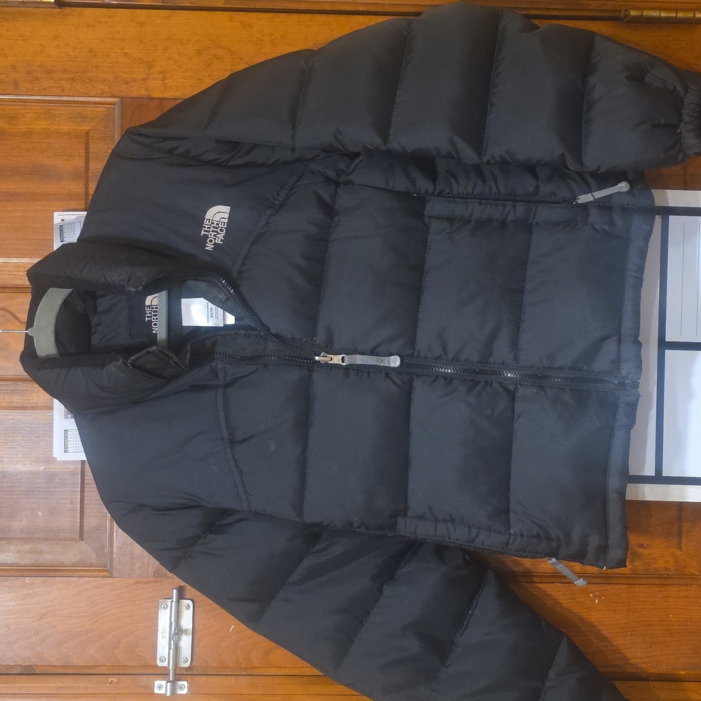Retro NorthFace Down Jacket (2005) - image 2